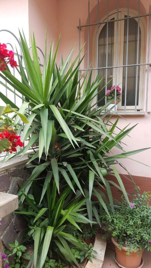 Fiorestella Pellezzano Exterior photo